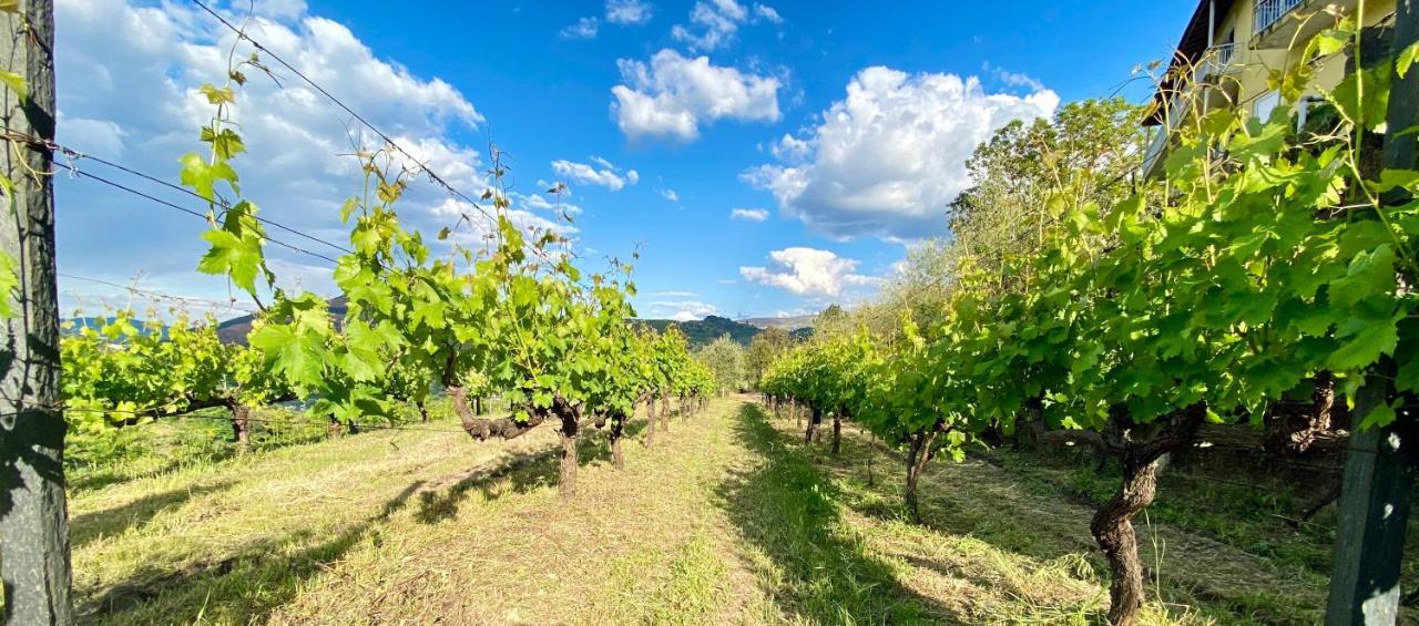 Private Douro- Quinta Das Susandas 메사오프리오 외부 사진
